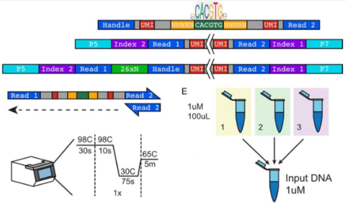   BET-seq: Binding energy topographies revealed by microfluidics and high-throughput sequencing.     Aditham, A.K., Shimko, T.C., and Fordyce, P.M.  Methods in Cell Biology - Microfluidics on a Molecular Scale (2018).   (PDF)  ( web ).   