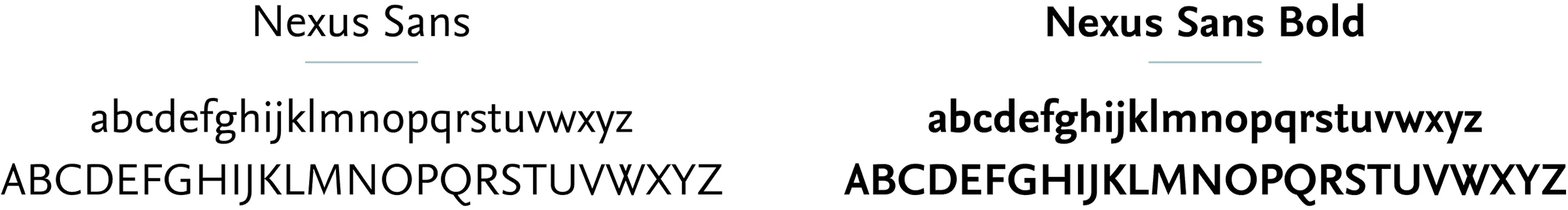 Typography