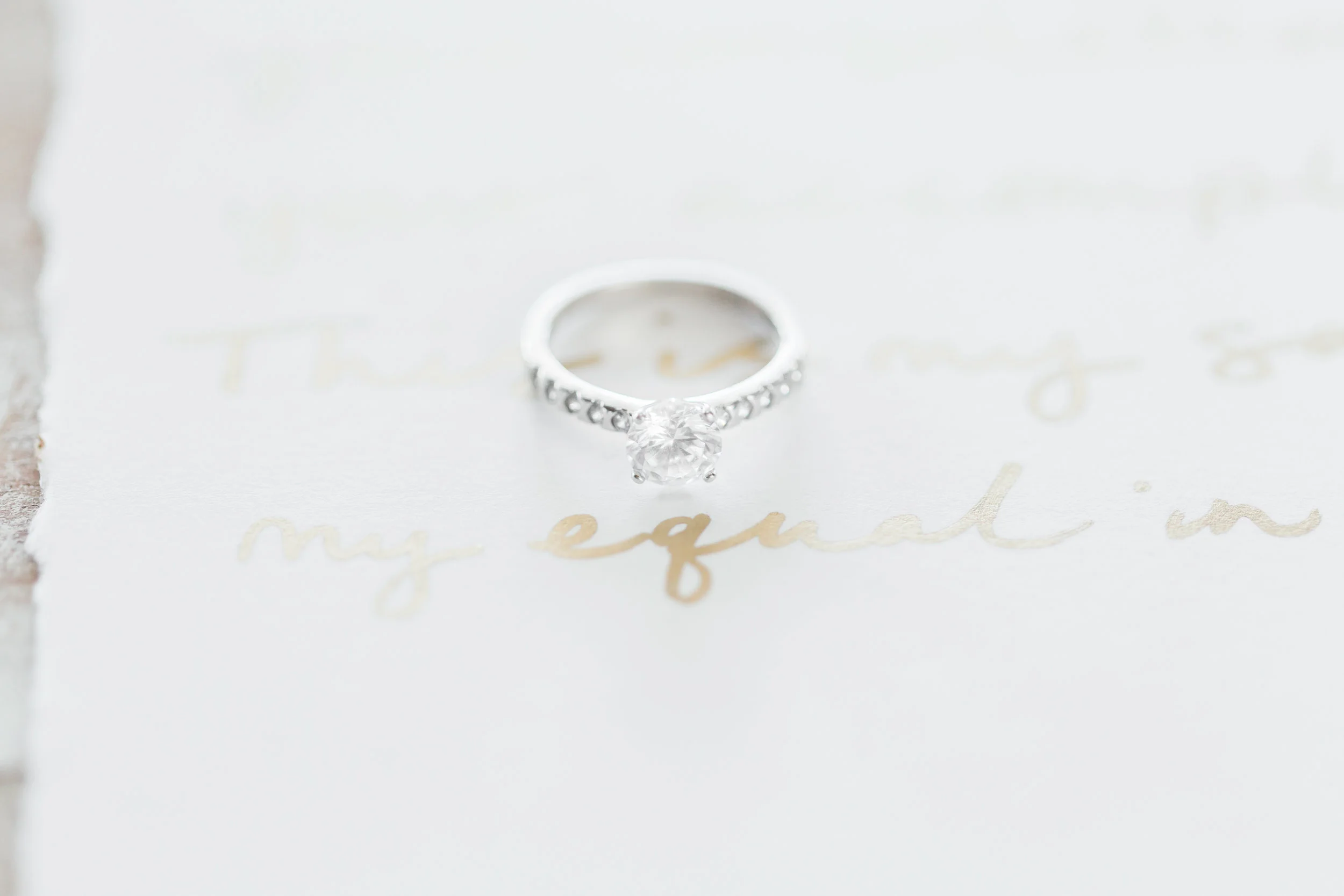 Lauren Dobish Photography | @laurendobish