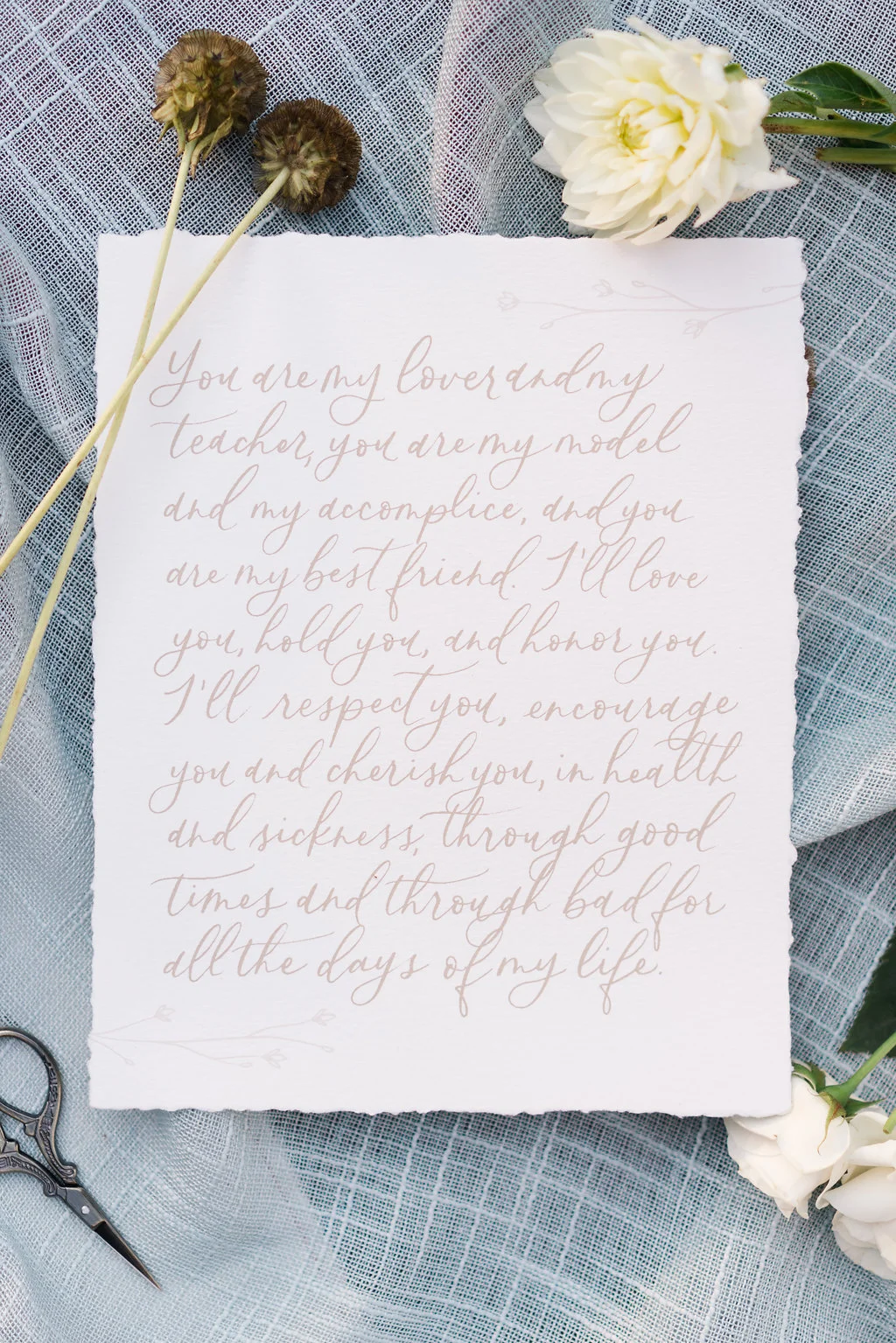 Hannah Cochran Photography | @hannahcochranphotography