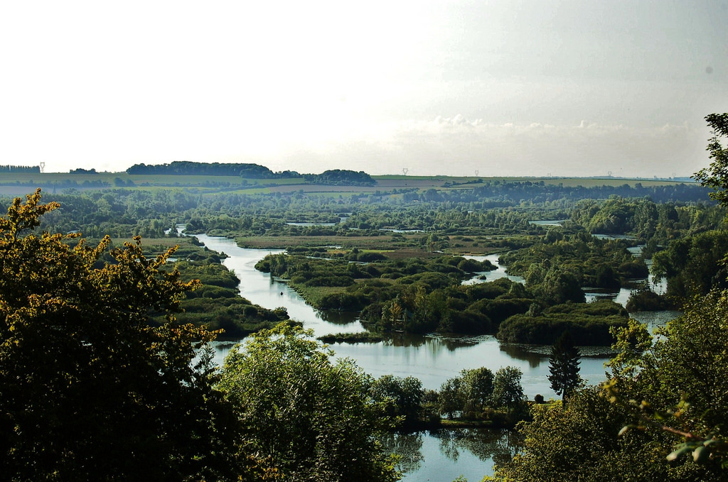 4935933701_aa585dff94_b.jpg