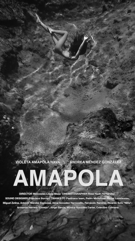 Amapola Cartel 1.jpg
