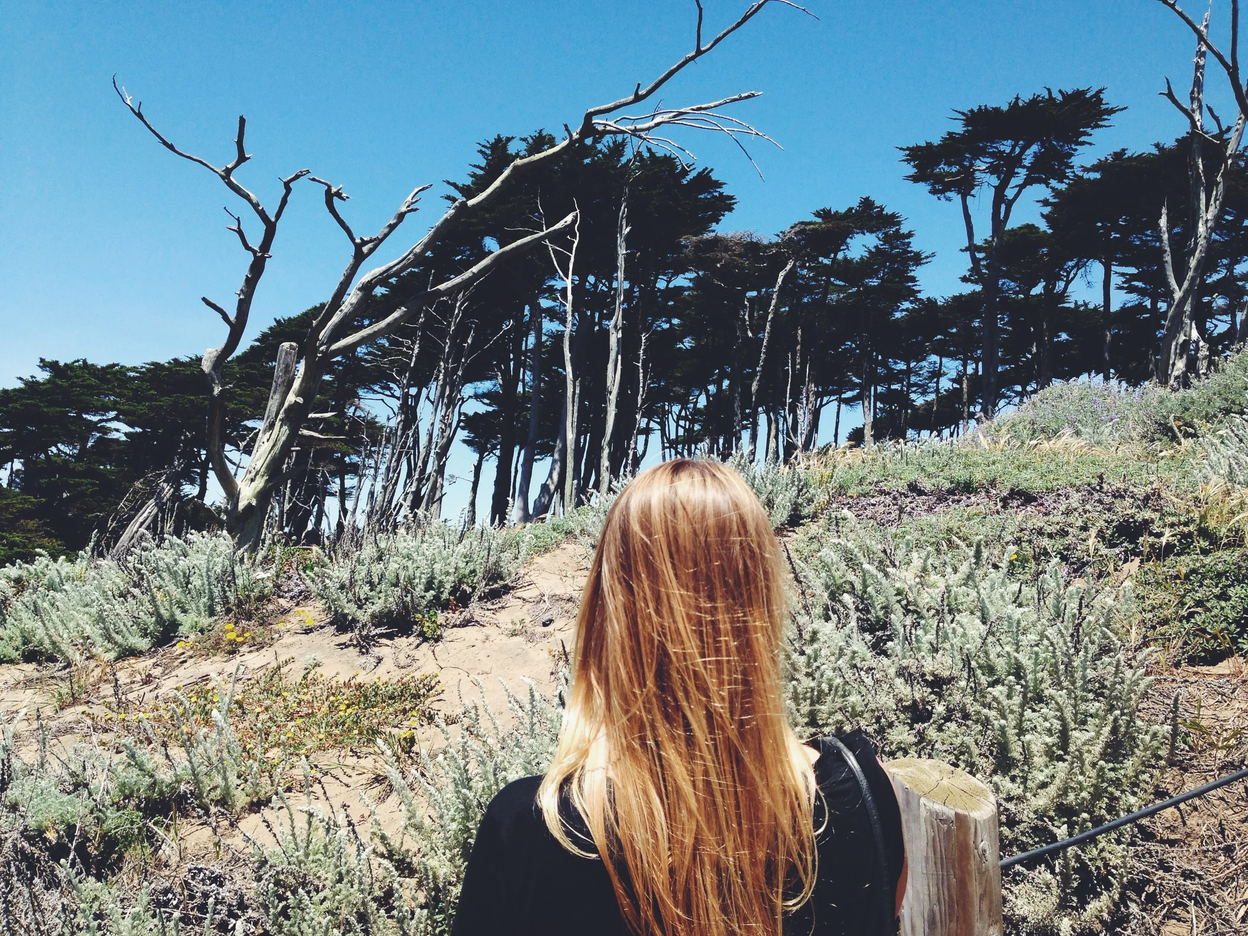 Lands End, San Francisco, CA. 
