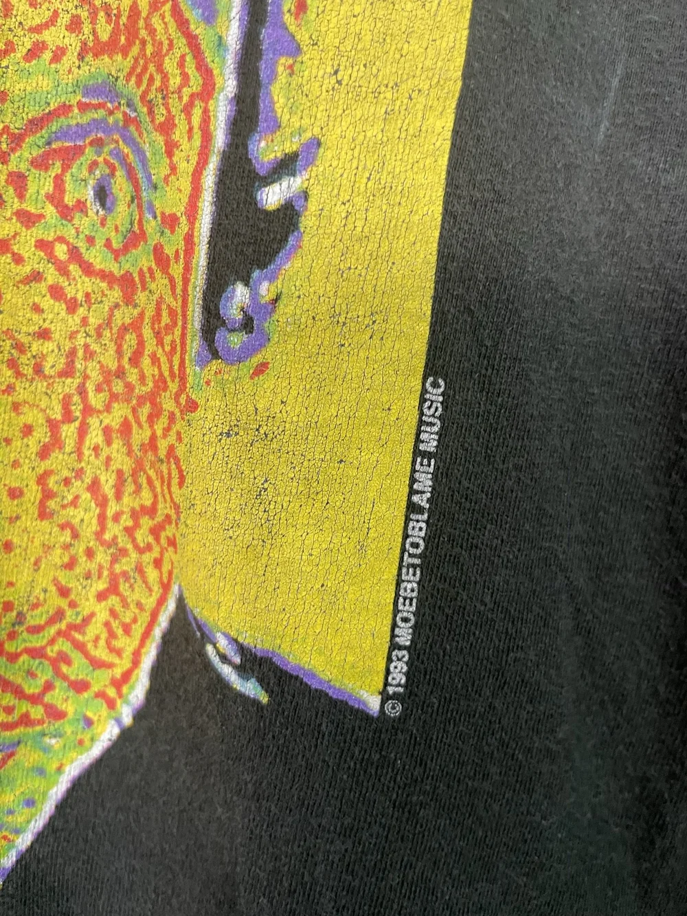 Vintage 93 Red Hot Chili Peppers Band Tee — 1 Look Vintage