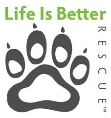 Life+is+Better+logo.jpg