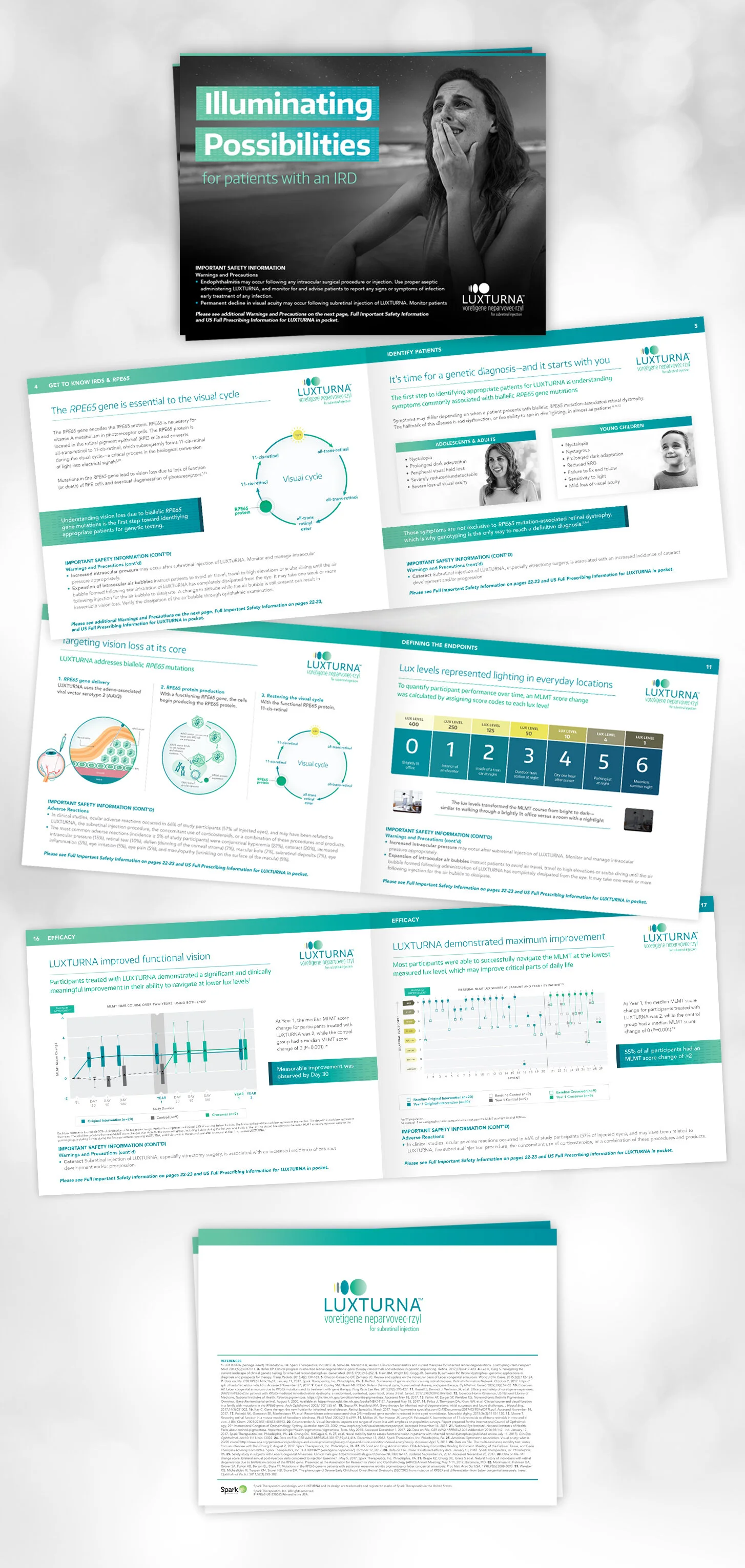 Lux_brochure_long 2.jpg