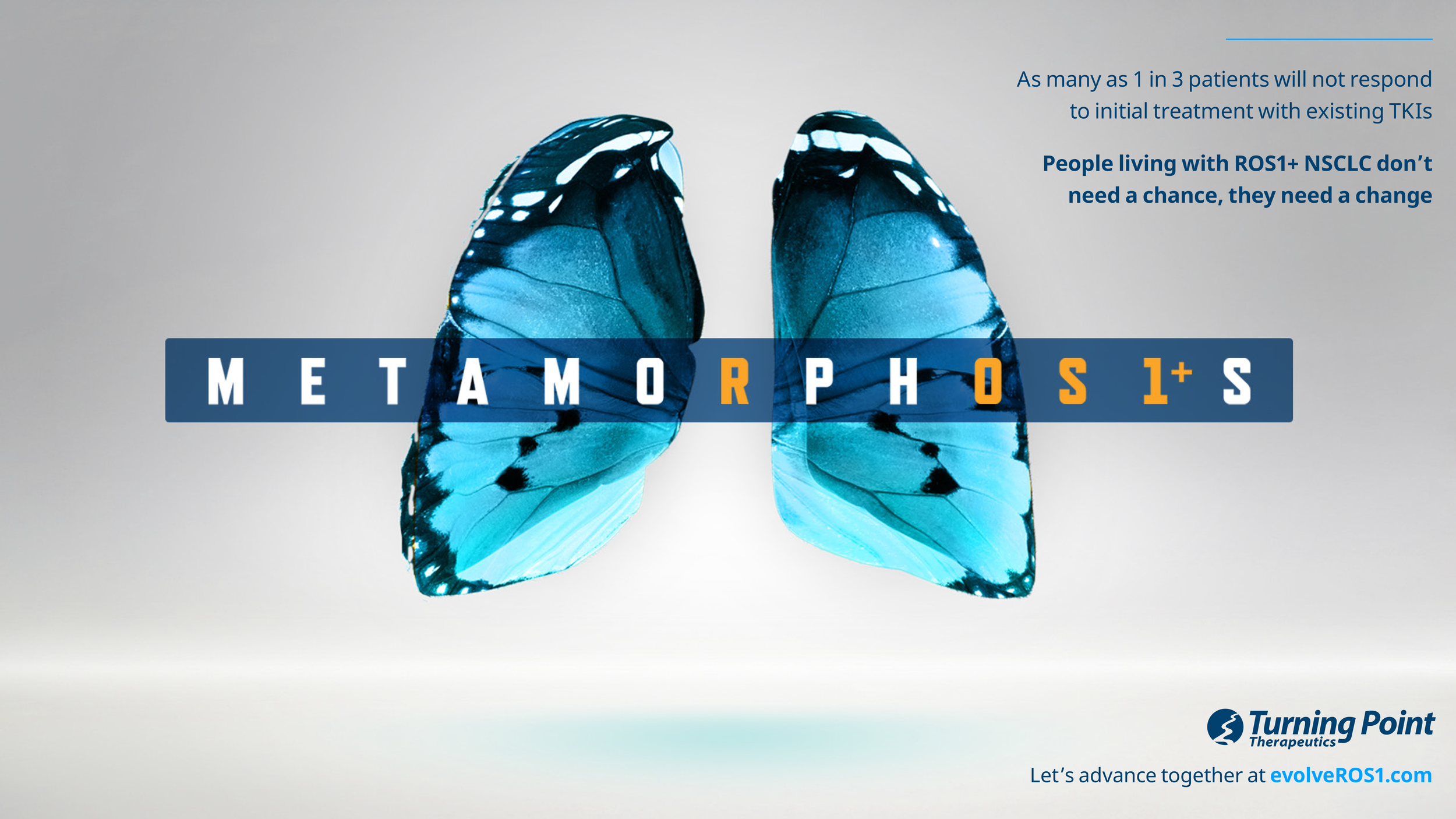 butterfly_explore-2.png