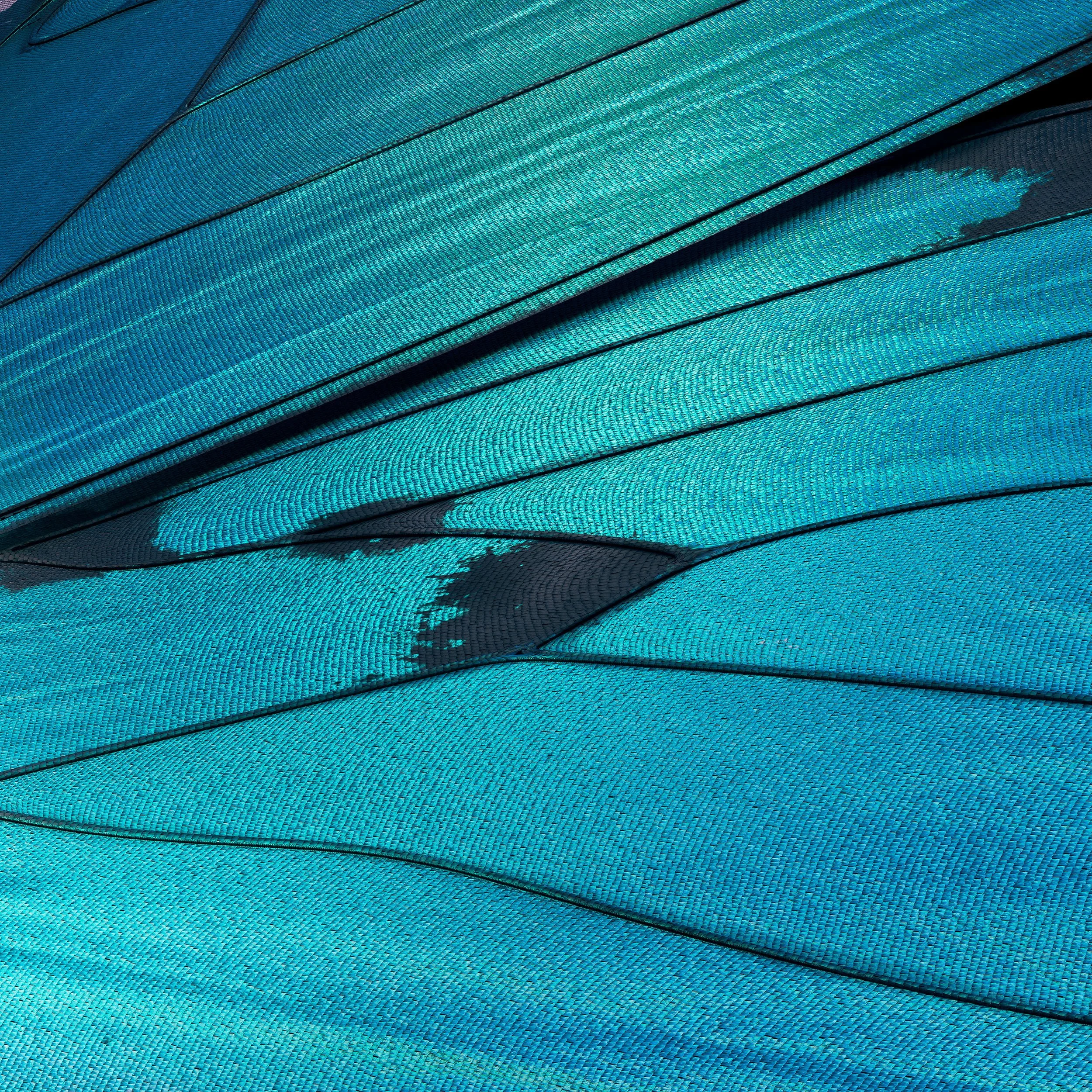 light macro.jpeg