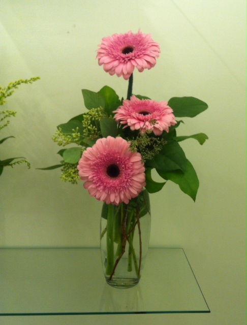 Three gerberas ready to go! 