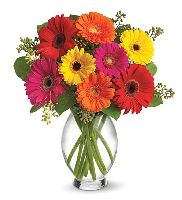 Gerbera Daisy Arrangement