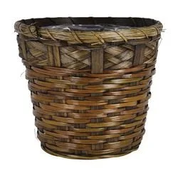 6 in basket.jpg