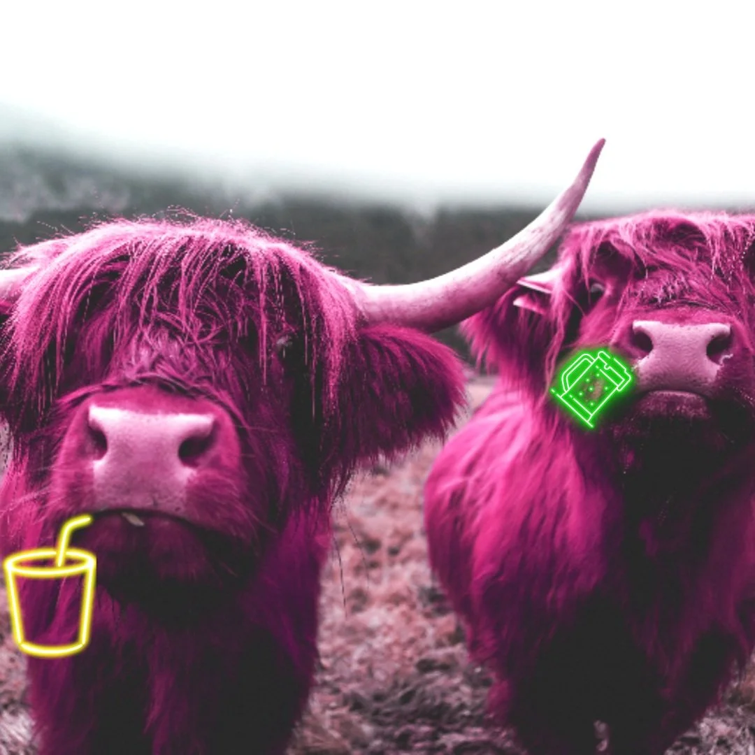 Sunday Happy Hour — THE SCOTTISH ARMS