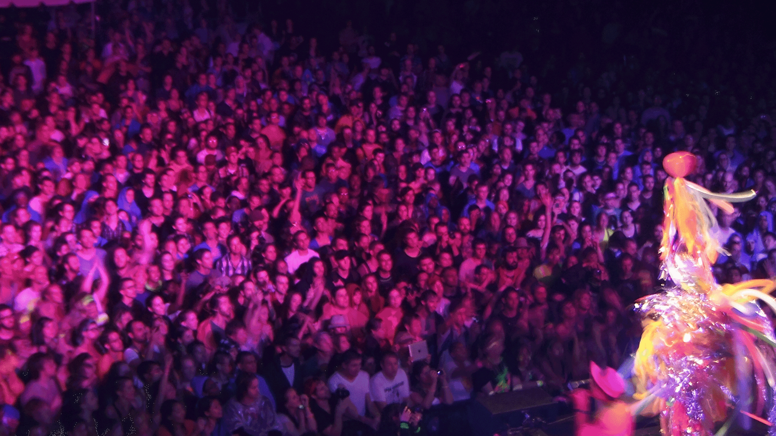 DSCF0939.gif