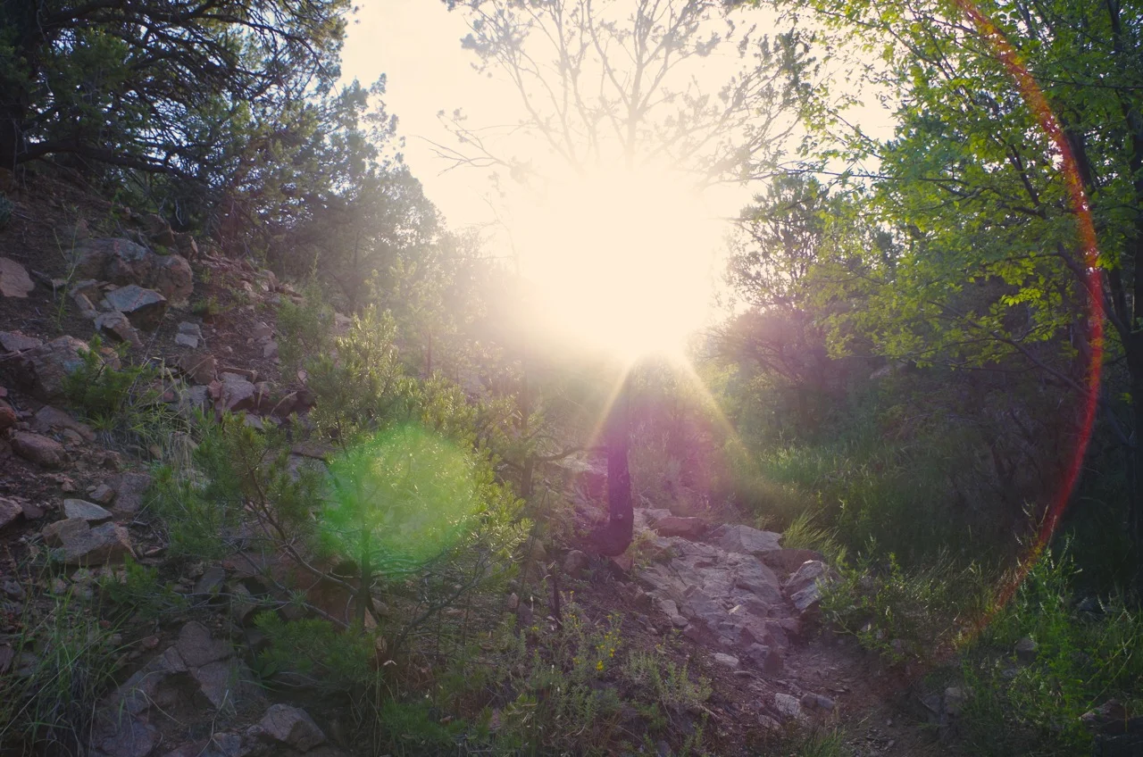 Twerking on God's Great Dancefloor: The Glen Day Seven