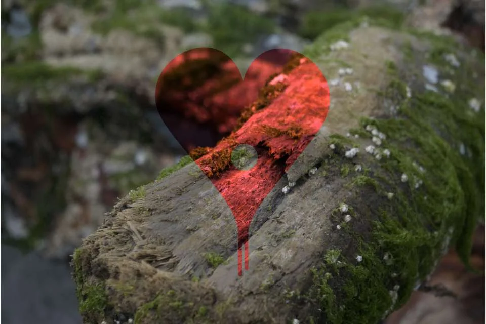 Grow Your Art Challenge Check-In: October