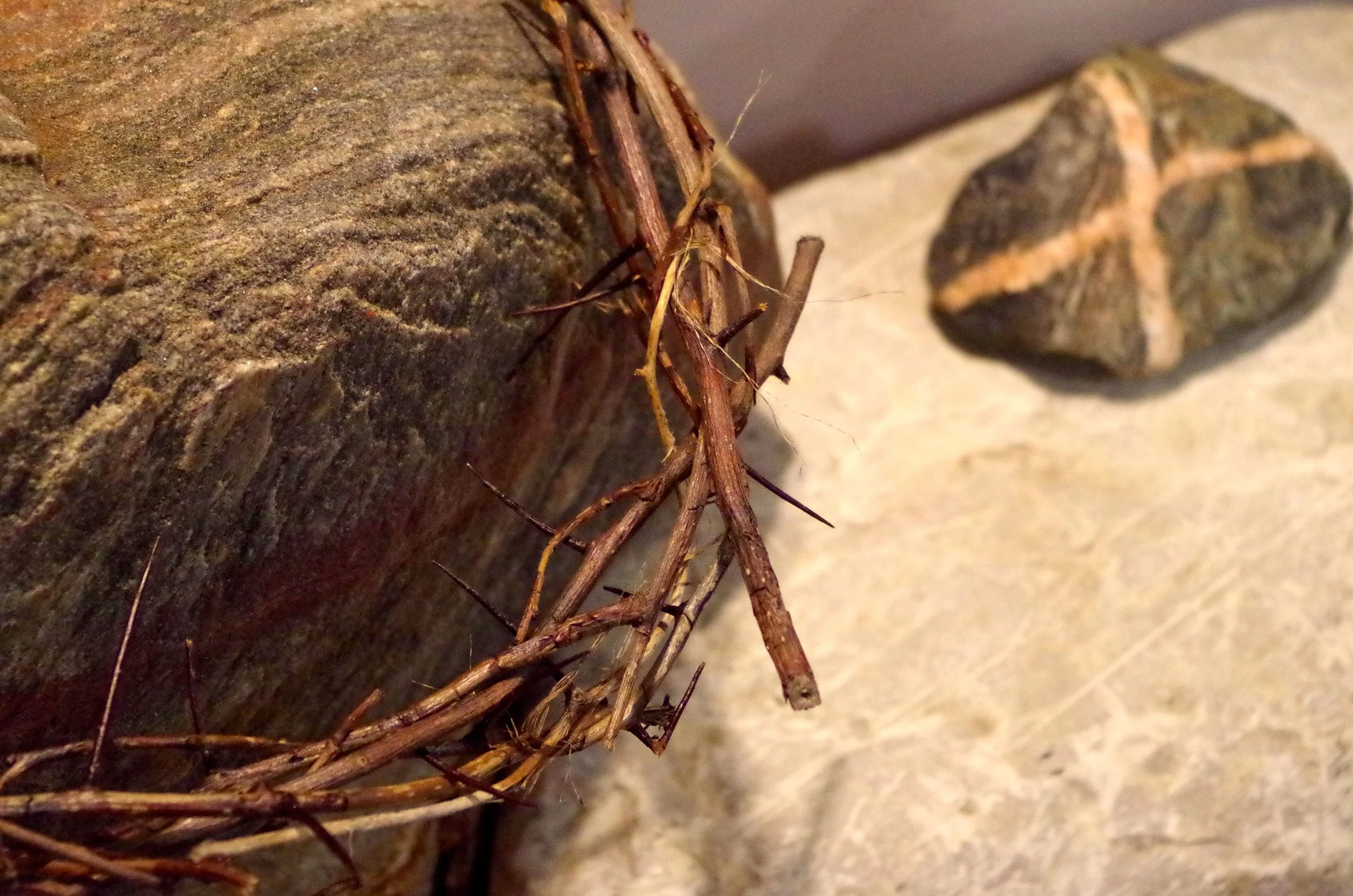 Crown of thorns