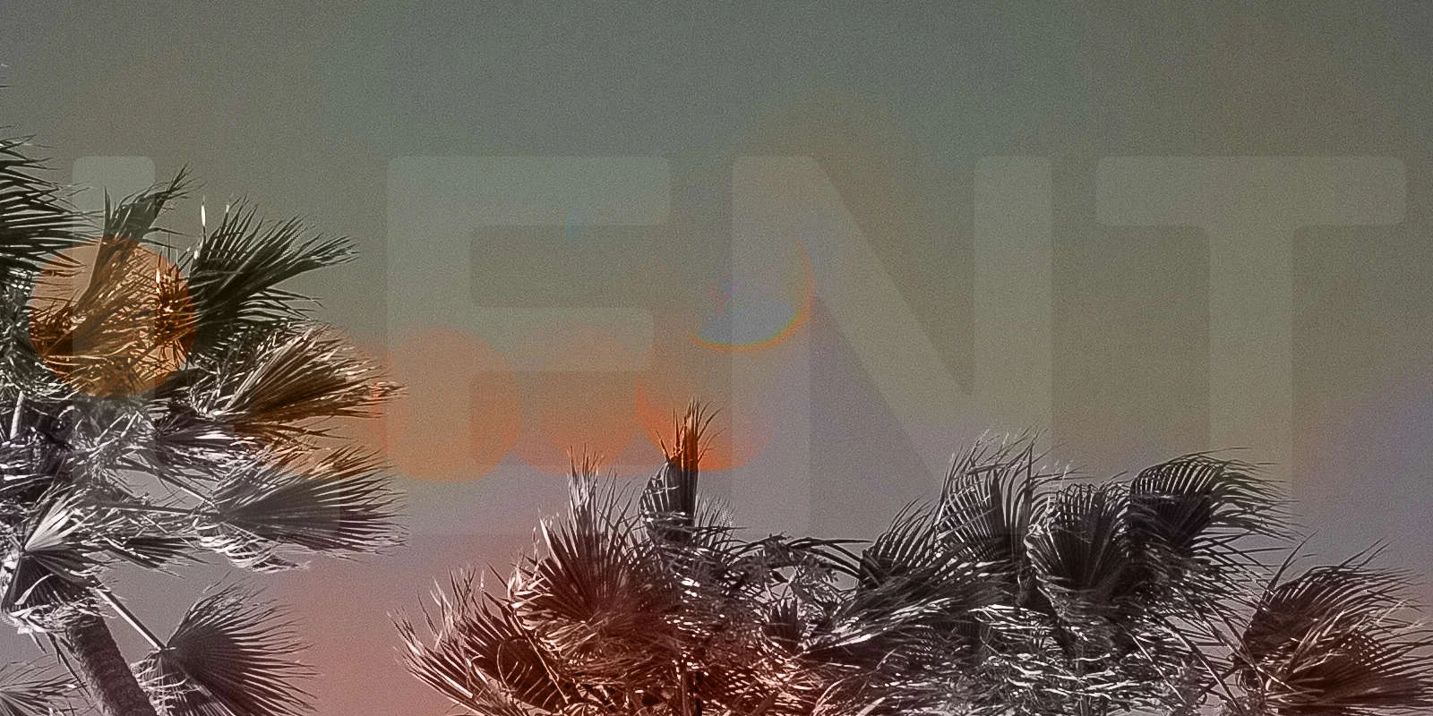 Lent and the Art of Listening