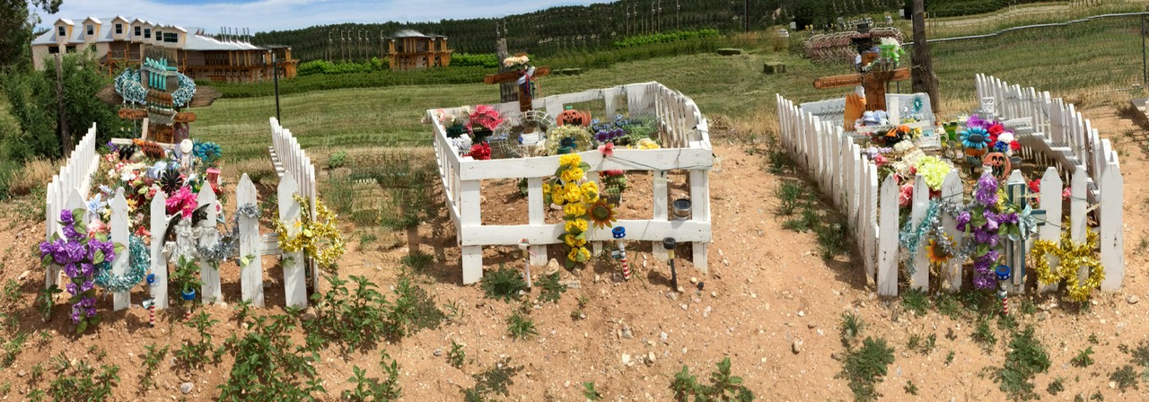 Graves