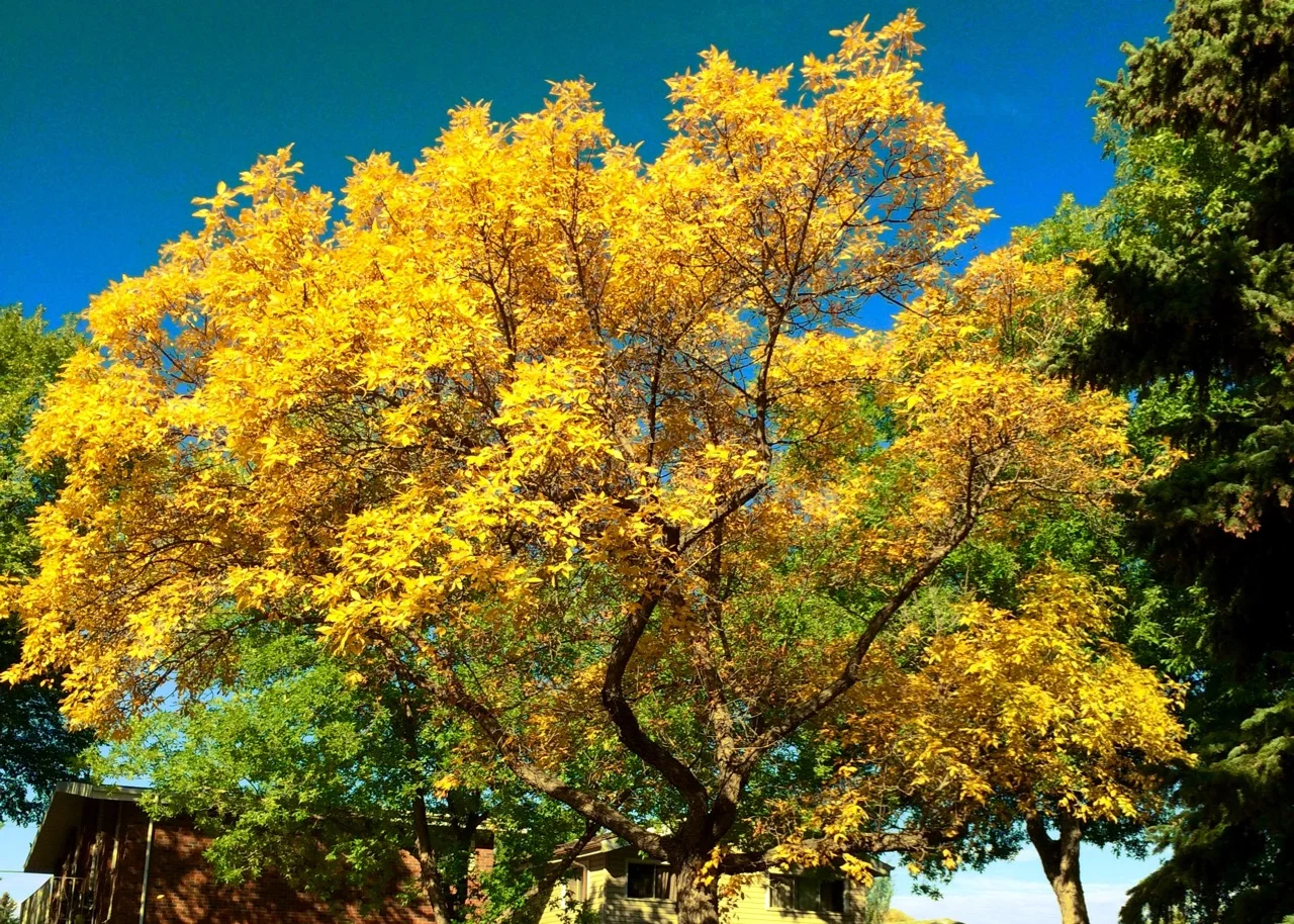 You have to see the light