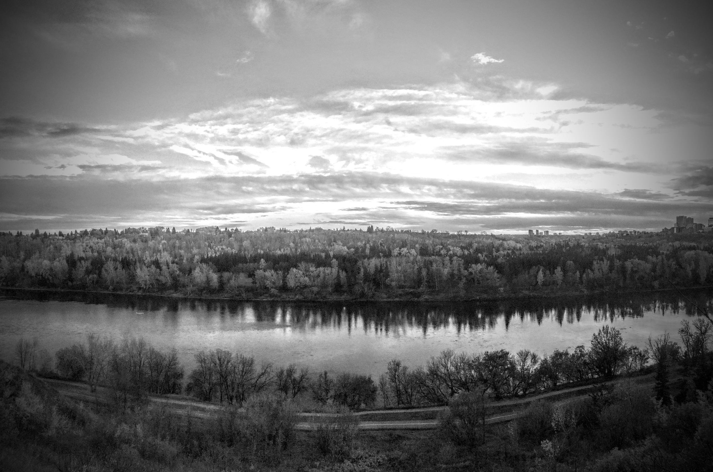 You Are What You Plant (A Tale of Swings and Tires)