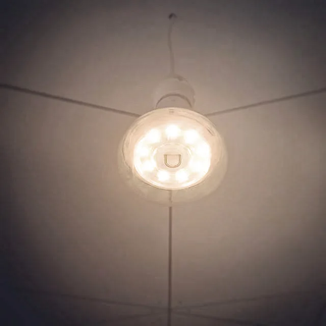 Opening Our Walls to You