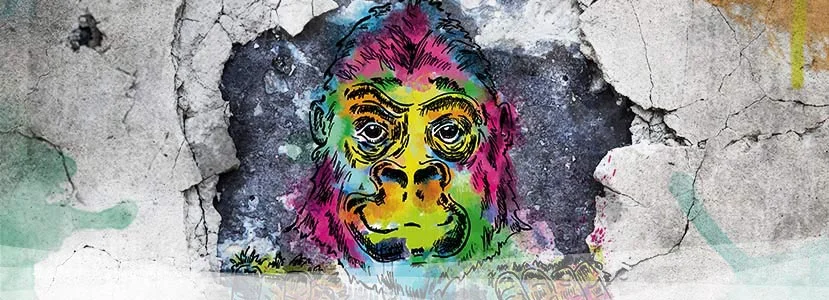image from Amplify Festival website.