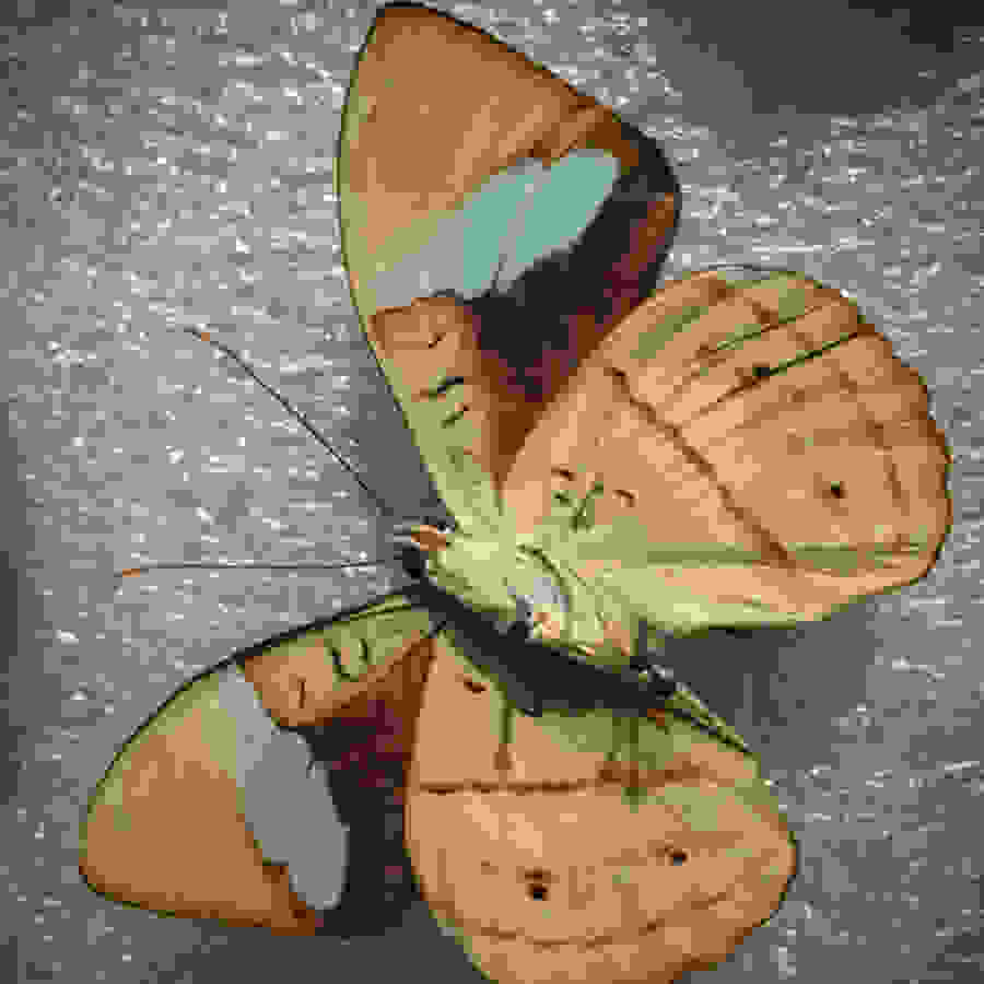 Website Wednesday Cuts Your Images Down to Size