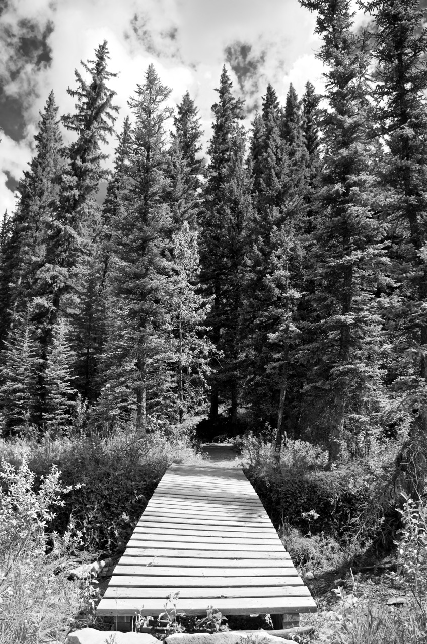 Pathways