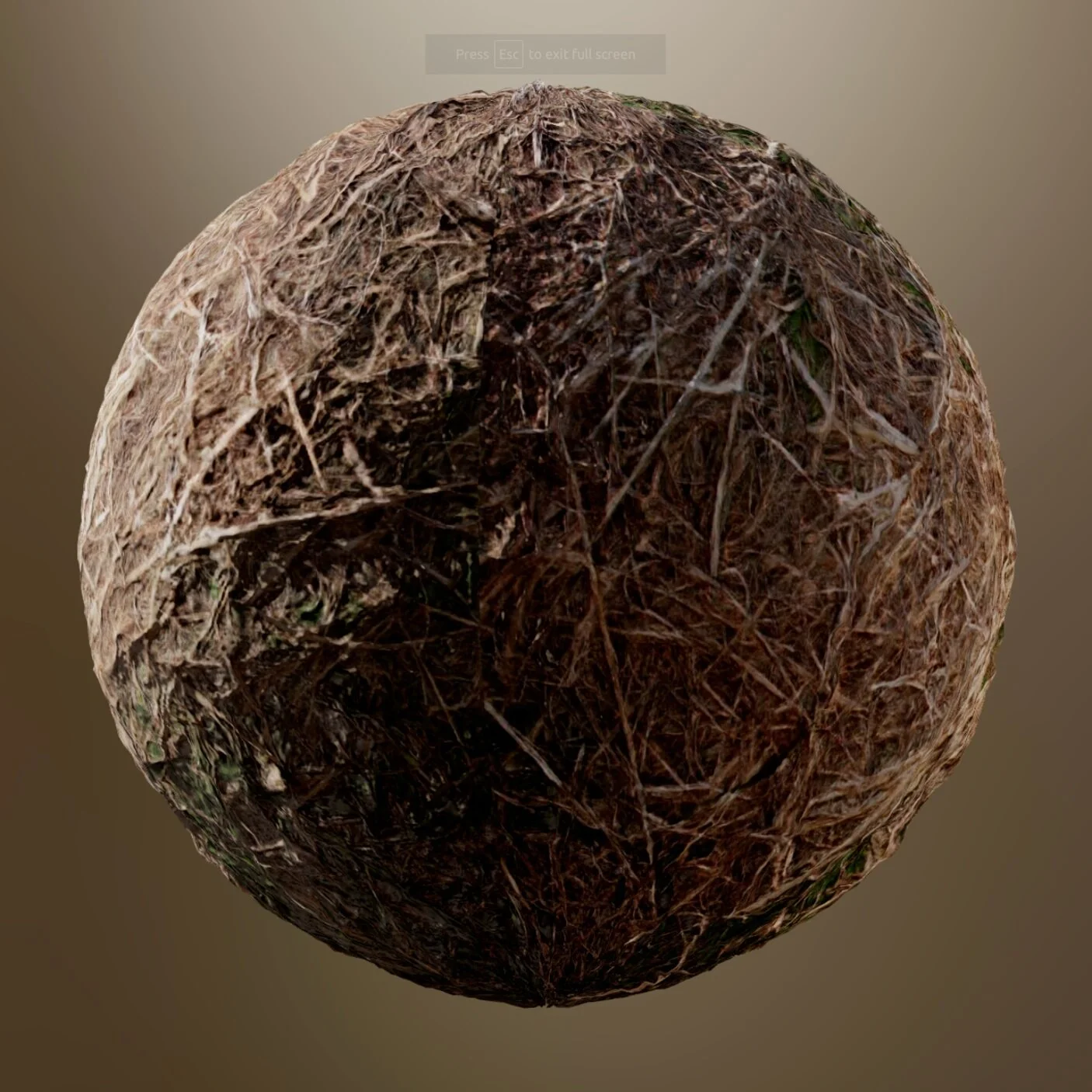 Browser WebGL Render