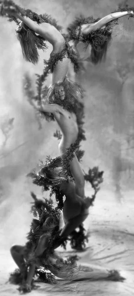 Creation