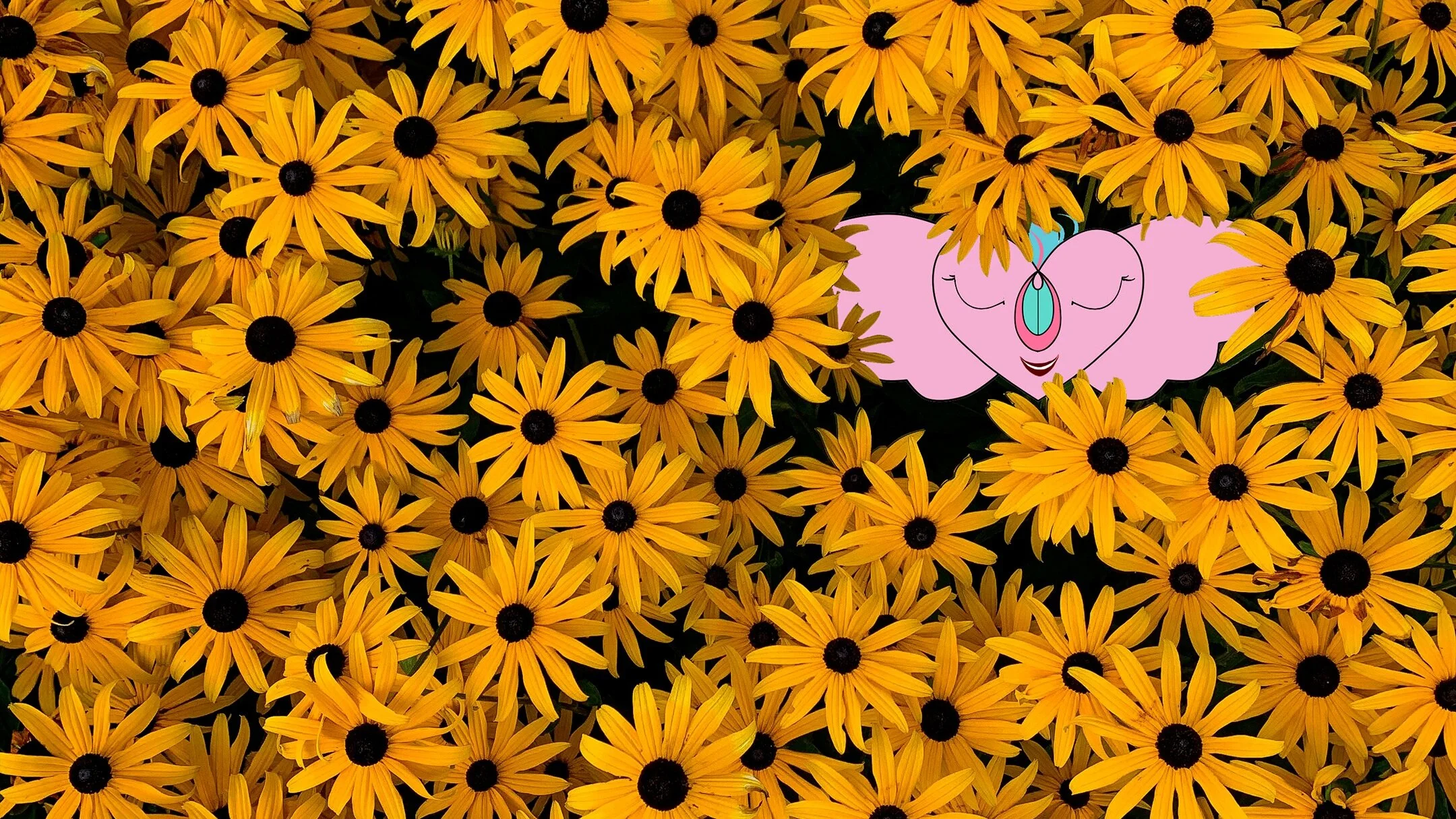 Daisies2.jpg