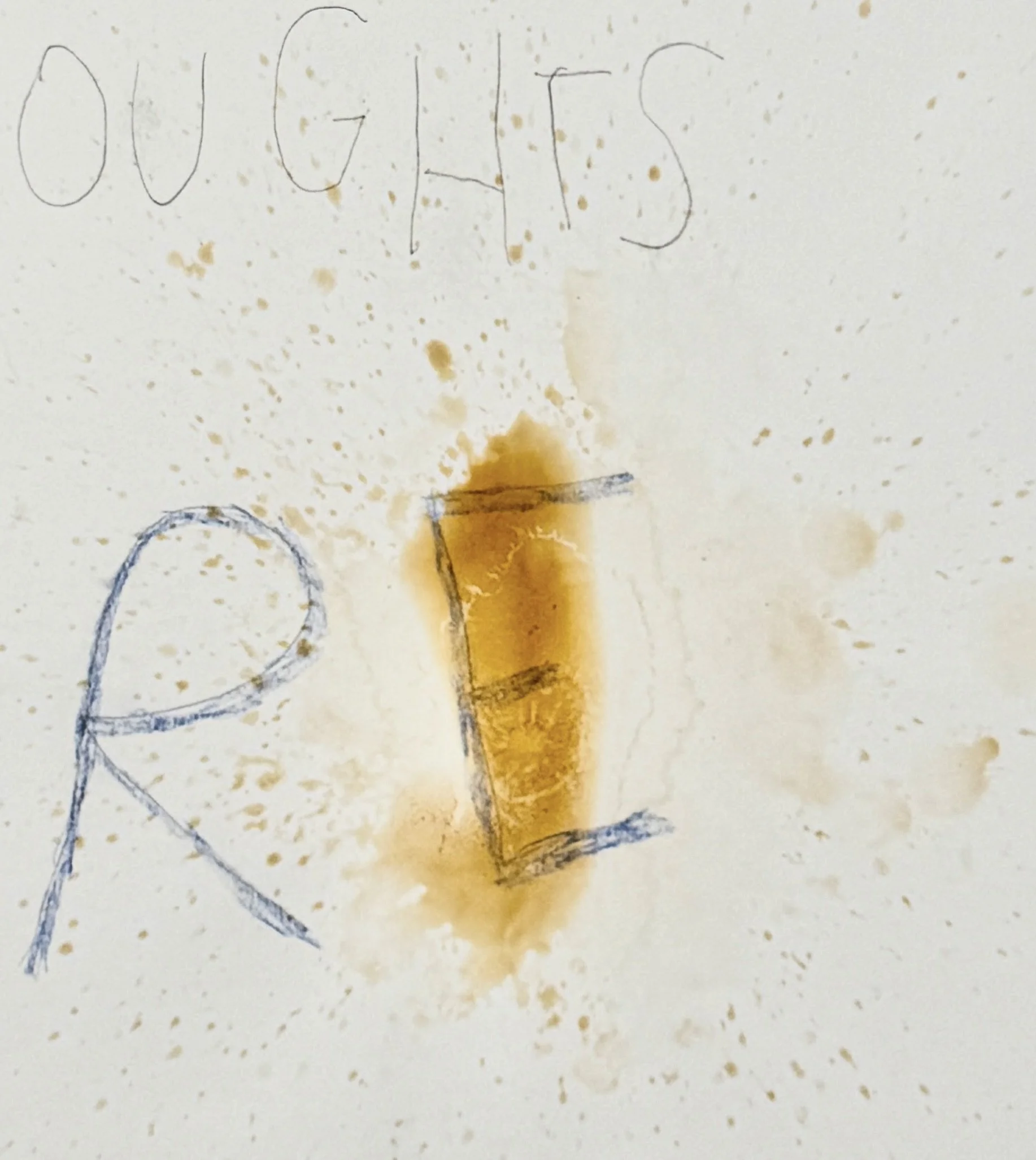 ED744177-873E-46AD-9698-A7DA4887FD99_1_201_a.jpeg