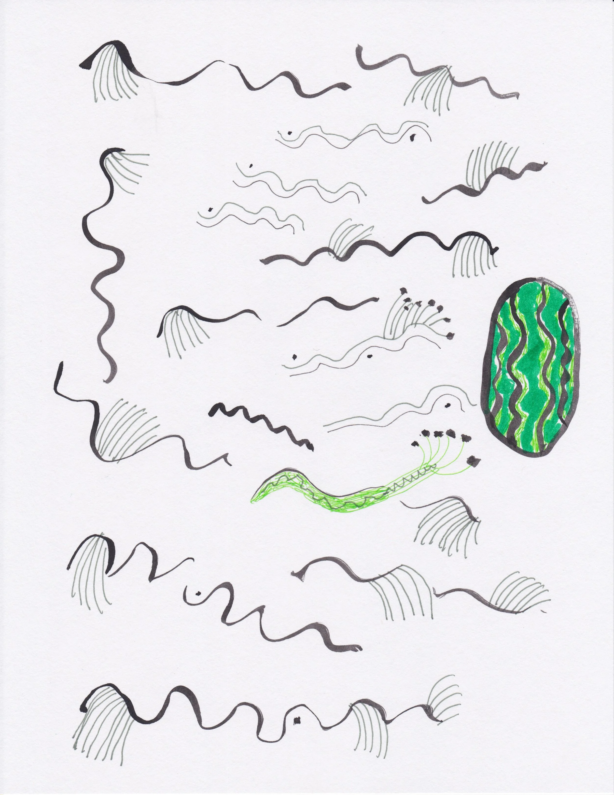 Roz Drawings 49.jpeg
