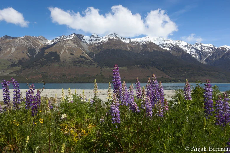 0P3A5979.jpg