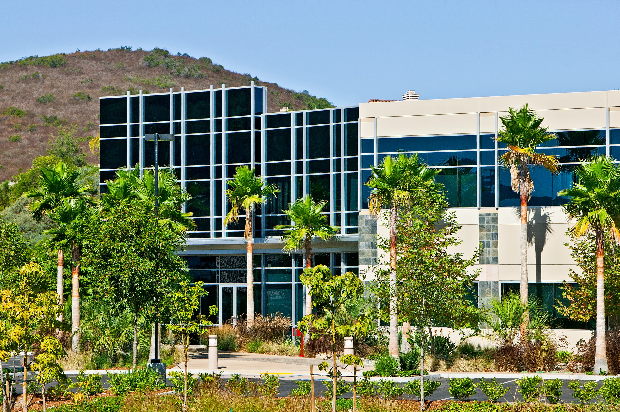 20100831_swt_700_wpd_0235.jpg