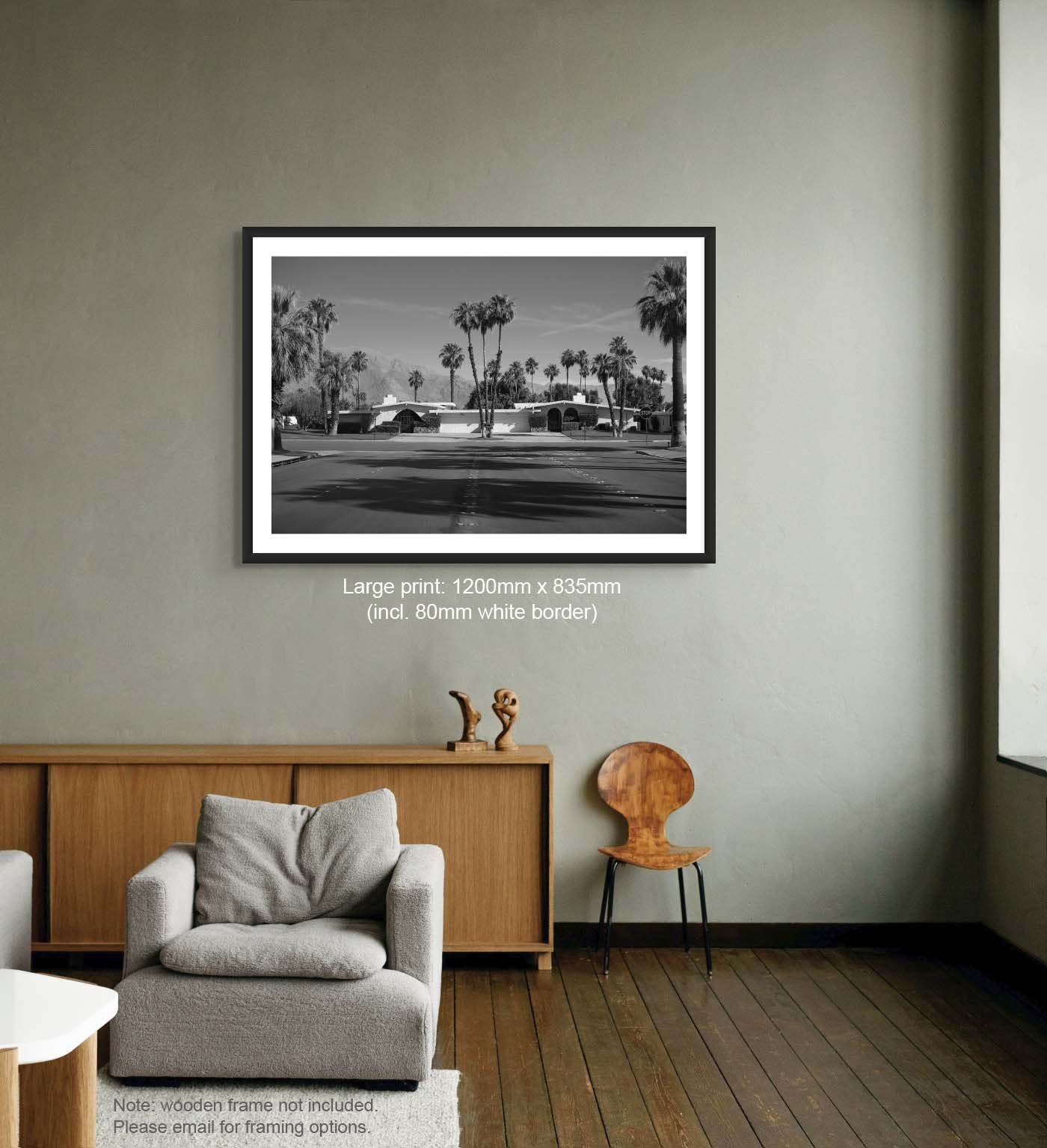 Palm Springs_BW_Size_Large 3.jpg