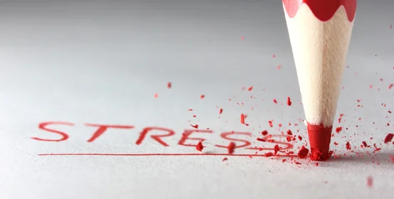 stress web.jpg