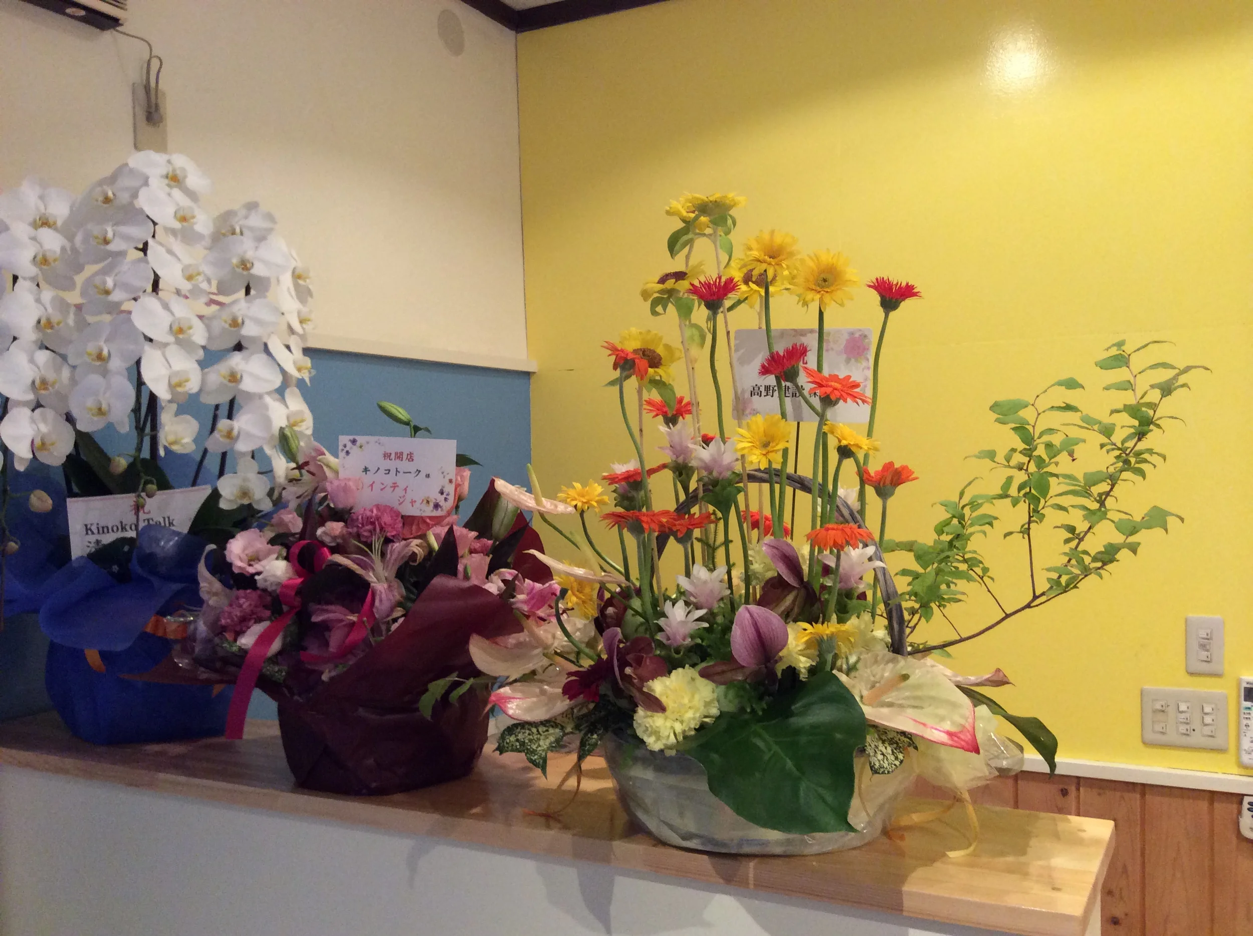 ☆子ども英会話教室キノコトークオープン☆