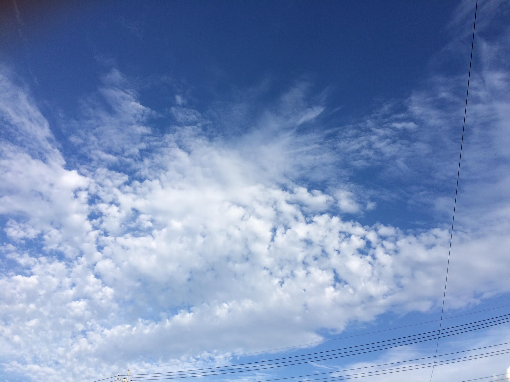 なんだかオーストラリアにいた頃の空を思い出しました^^ 青い空が大好きなんです!