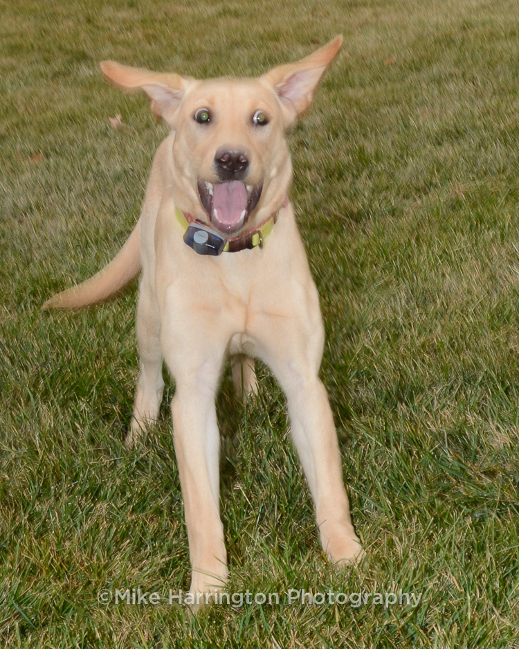 DSC_5036.jpg