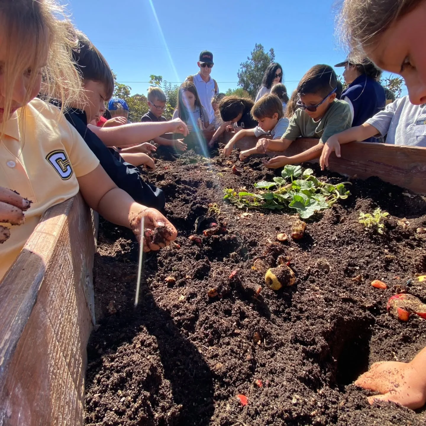 Our 3rd and 4th Graders had an amazing time getting some hands on agricultural experience on the SEEAG field trip!!🥬🍎🫘