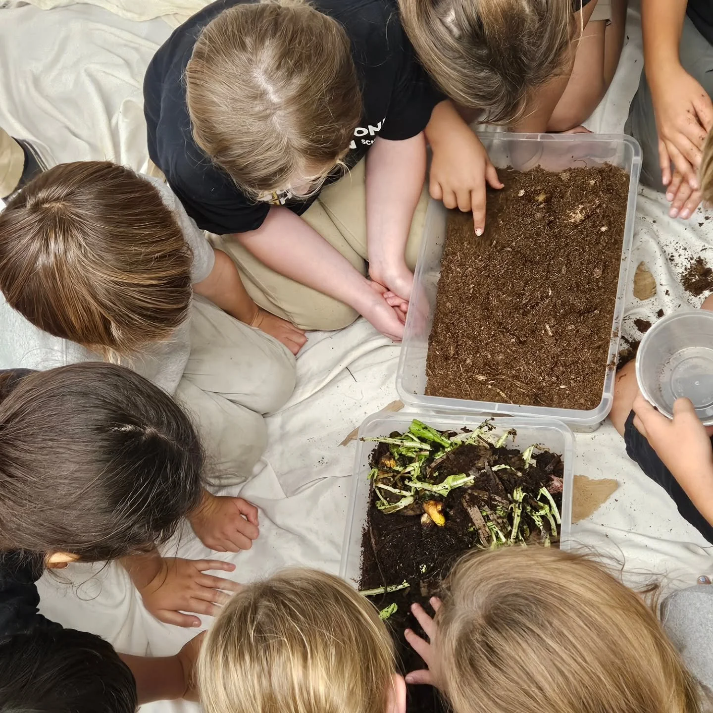 DIY Compost Fun with our 3rd Graders 🥬🍅🪱🥔