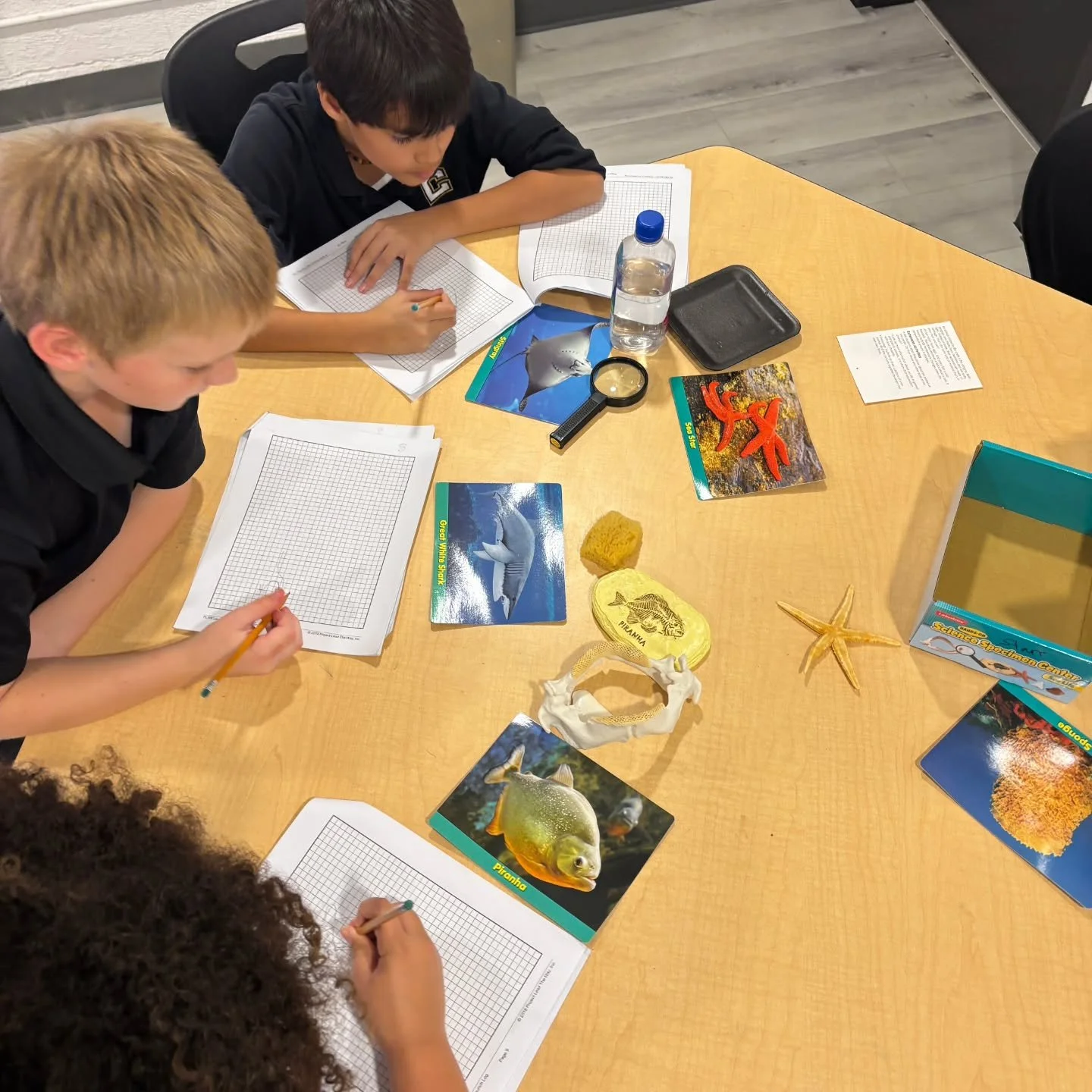 Some fun moments with 5th and 2nd grade from S.T.E.M. class! Scientists in the making 🔬🌿✏️