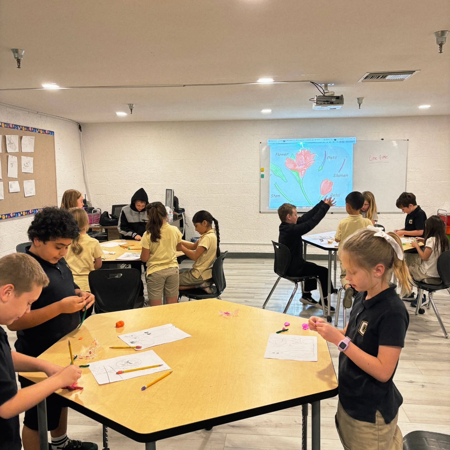 Grade's Kindergarten to 5th grade learning so much in S.T.EM. Class!!

#privateschool #stemeducation #elementaryschool #camarillo