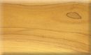 Poplar ( Liriodendron tulipifera )