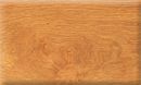 White Oak ( Quercus alba )