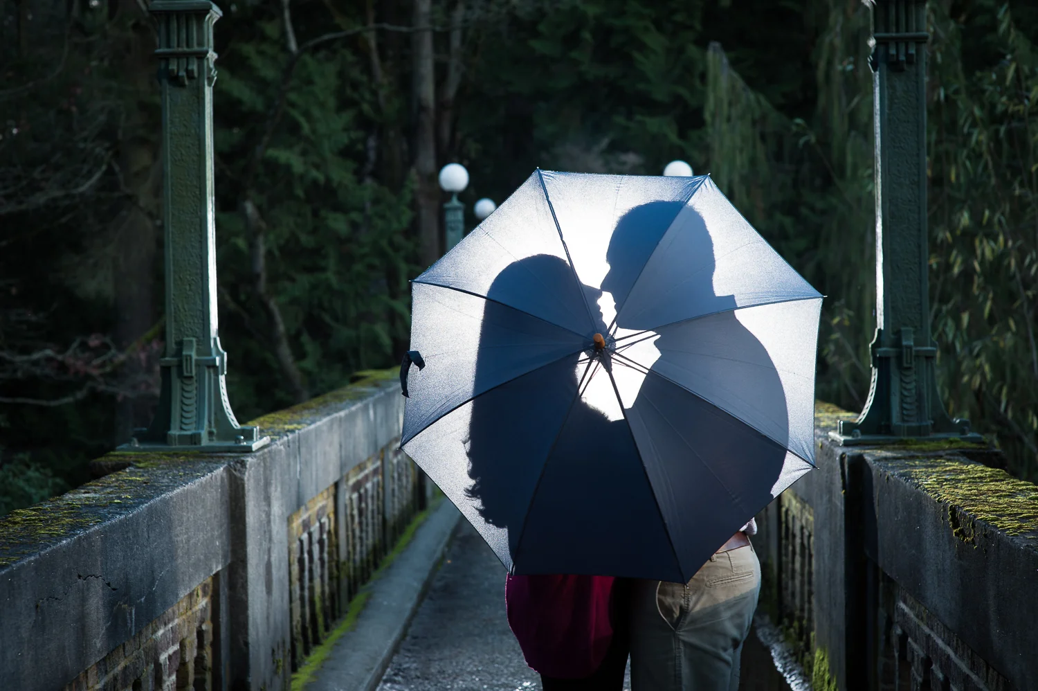 Seattle Washington Park Arboretum outdoor engagement photography