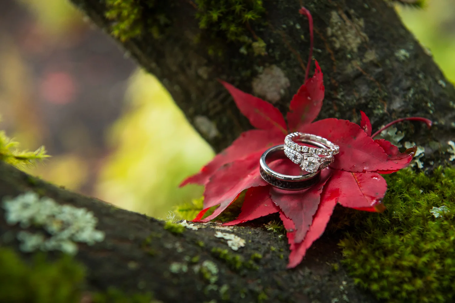 Jared M Burns Photography-WEDD20141018-Holmes (177 of 321).jpg