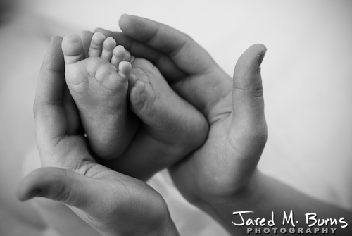Snohomish Family Photographer, Jared M. Burns - Newborn Portrait 2.jpg