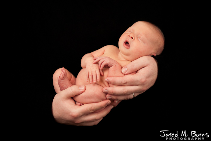 Snohomish Family Photographer - Newborn Portraits - 03.jpg